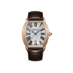 Aerowatch |Streamline| SG PVD