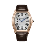 Aerowatch |Streamline| SG PVD